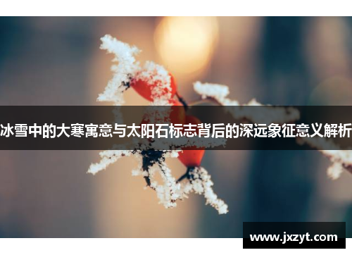 冰雪中的大寒寓意与太阳石标志背后的深远象征意义解析